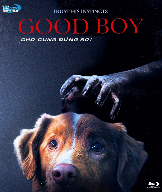 B6666.Good Boy  2025  CHÓ CƯNG ĐỪNG SỢ..!  2D25G  (DTS-HD MA 7.1 - ATMOS 5.1)